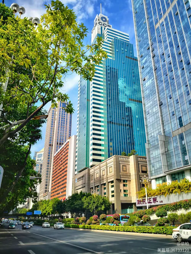 手机里的广州(1)家门口东风中路